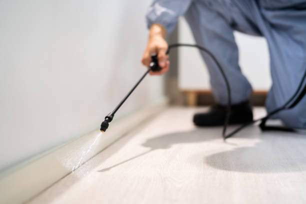 Licensed Wasp Removal service in Forney, TX - Show Me Pest Control