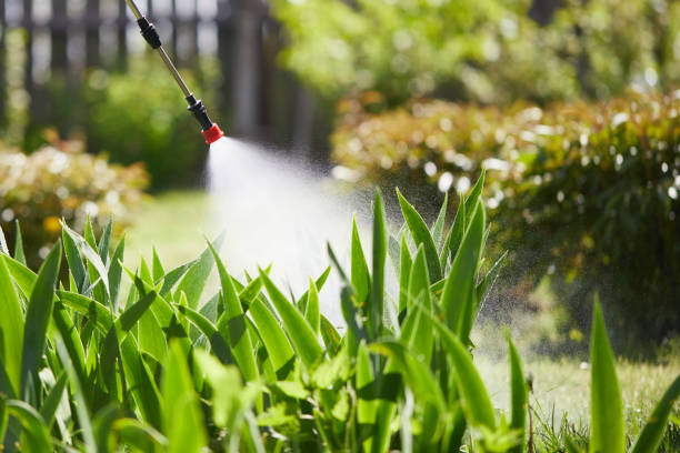 24/7 Emergency Wasp Removal experts in Forney, TX