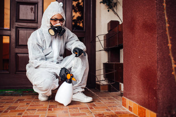 Reliable Wasp Removal contractor in Forney, TX by Show Me Pest Control