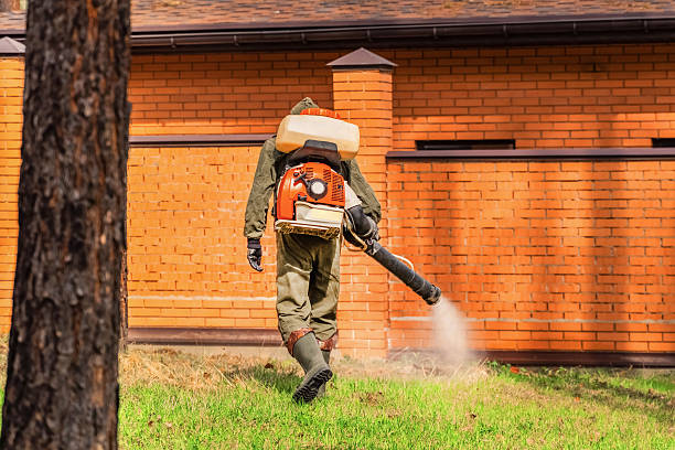 Top rated local Wasp Removal specialists in Forney, TX
